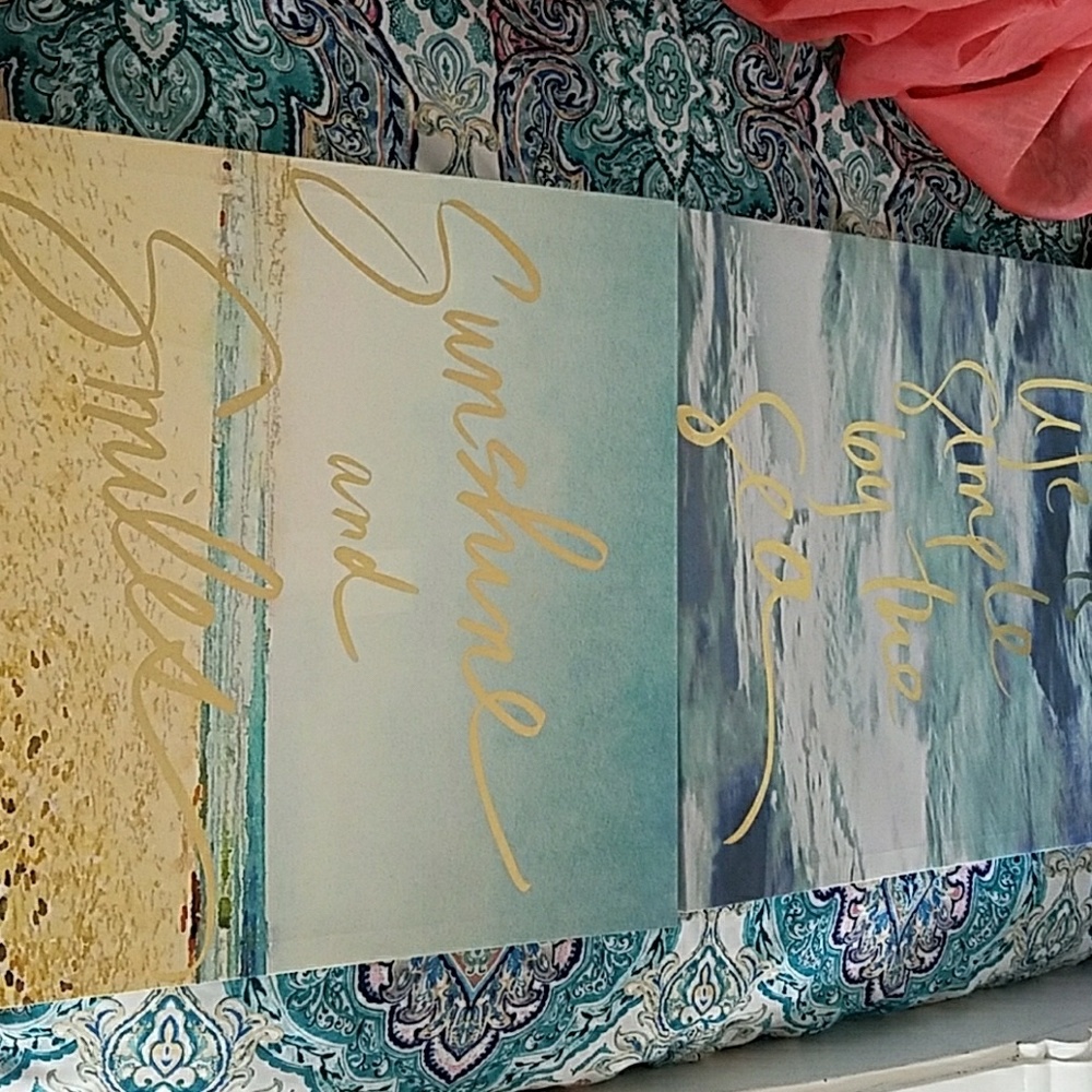 Two Picture Canvases
